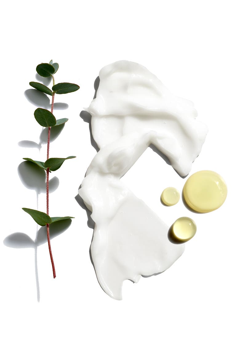 The Daily Shave® Set USD $44 Value, Alternate, color, NO COLOR