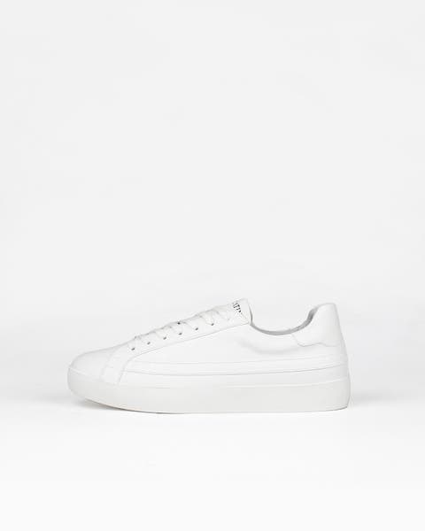 Olympus Minimalist Low-Top Sneaker