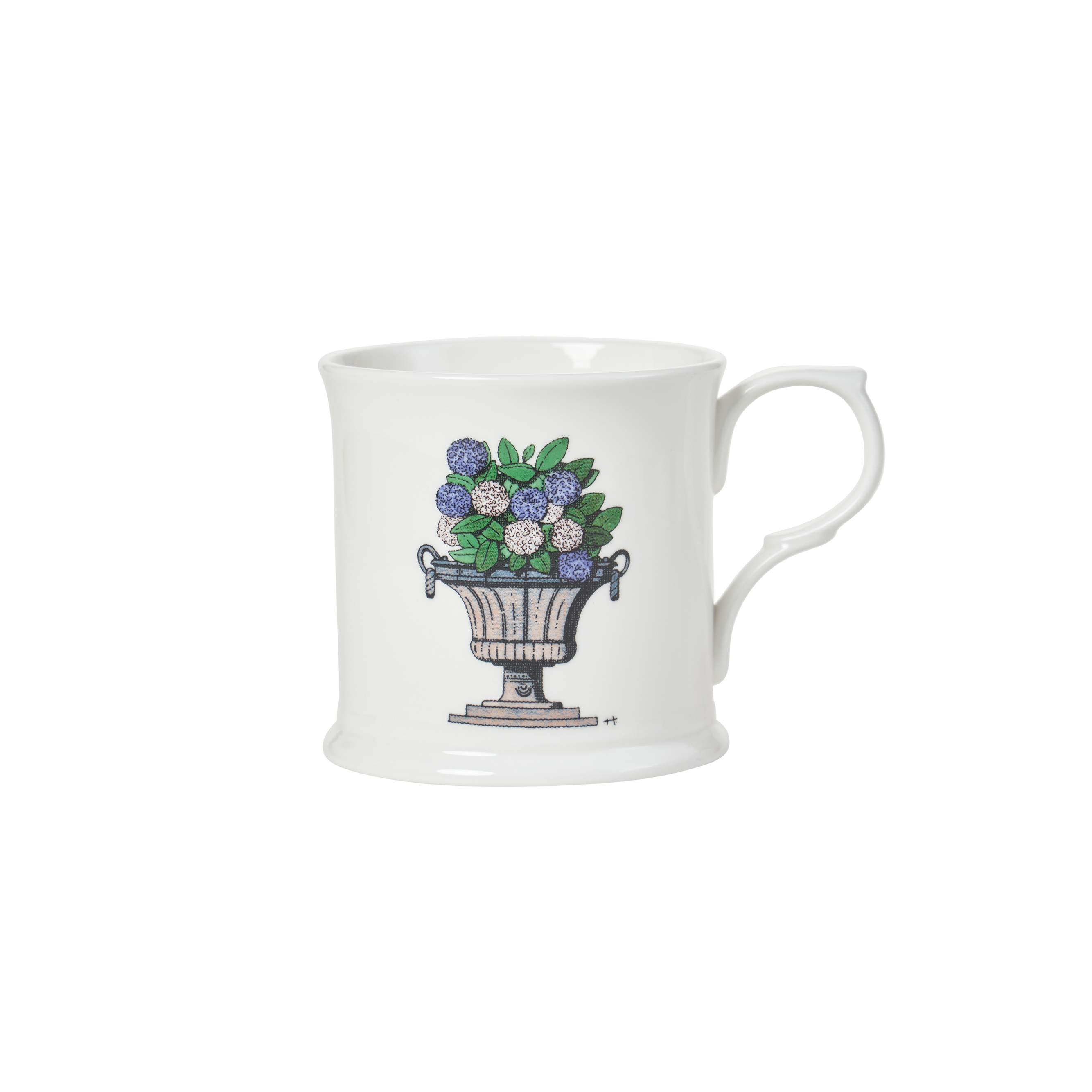 selected Hydrangea