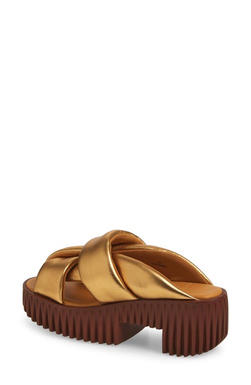 4ccccees Plia Semo Platform Sandal In Gold