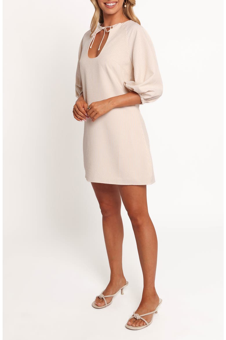 Sidney Front Tie Shift Dress, Alternate, color, TAN STRIPE