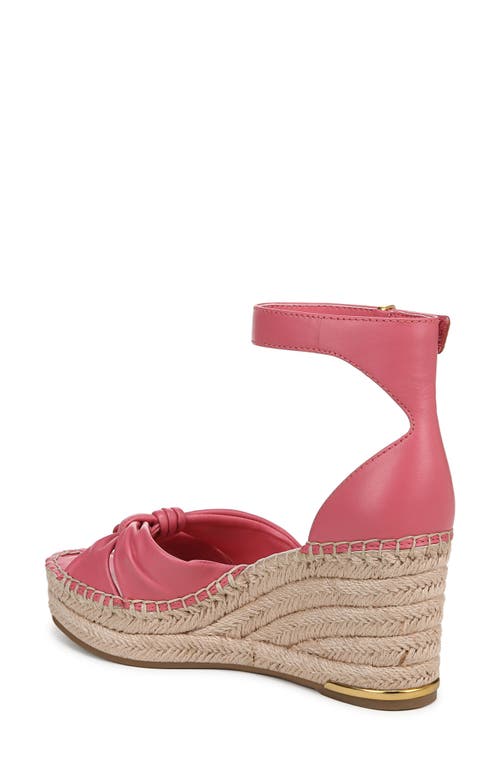 Franco Sarto Clementine Ankle Strap Platform Wedge Sandal In Pink
