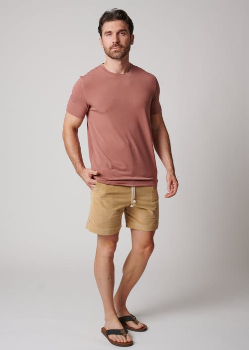 Leisure Lab Everyday T-shirt In Clay