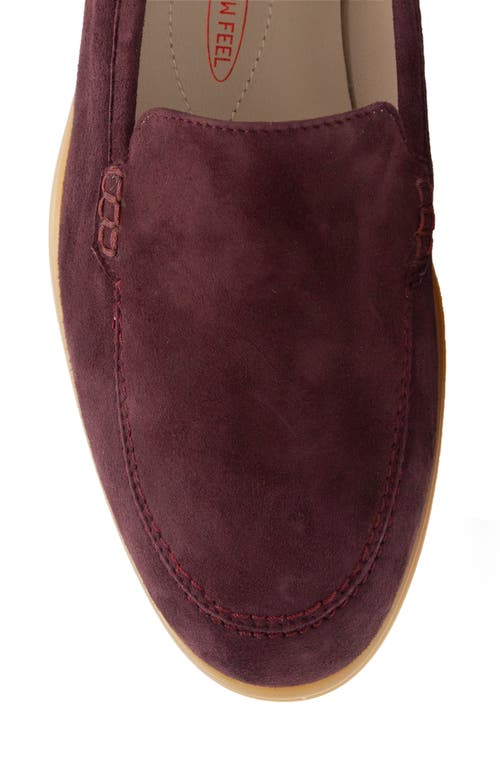 Amalfi By Rangoni Rombo Loafer In Prugna Cashmere Beige Soles