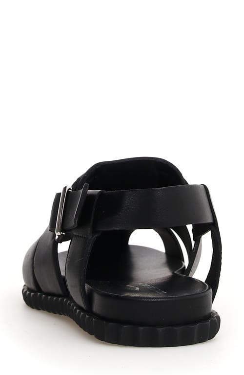 Shop Voile Blanche Alice Fisherman Sandal In Black
