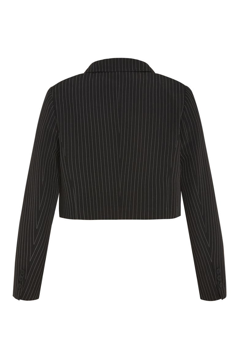 Alayah Stripe Crop Jacket, Alternate, color, STRIPE