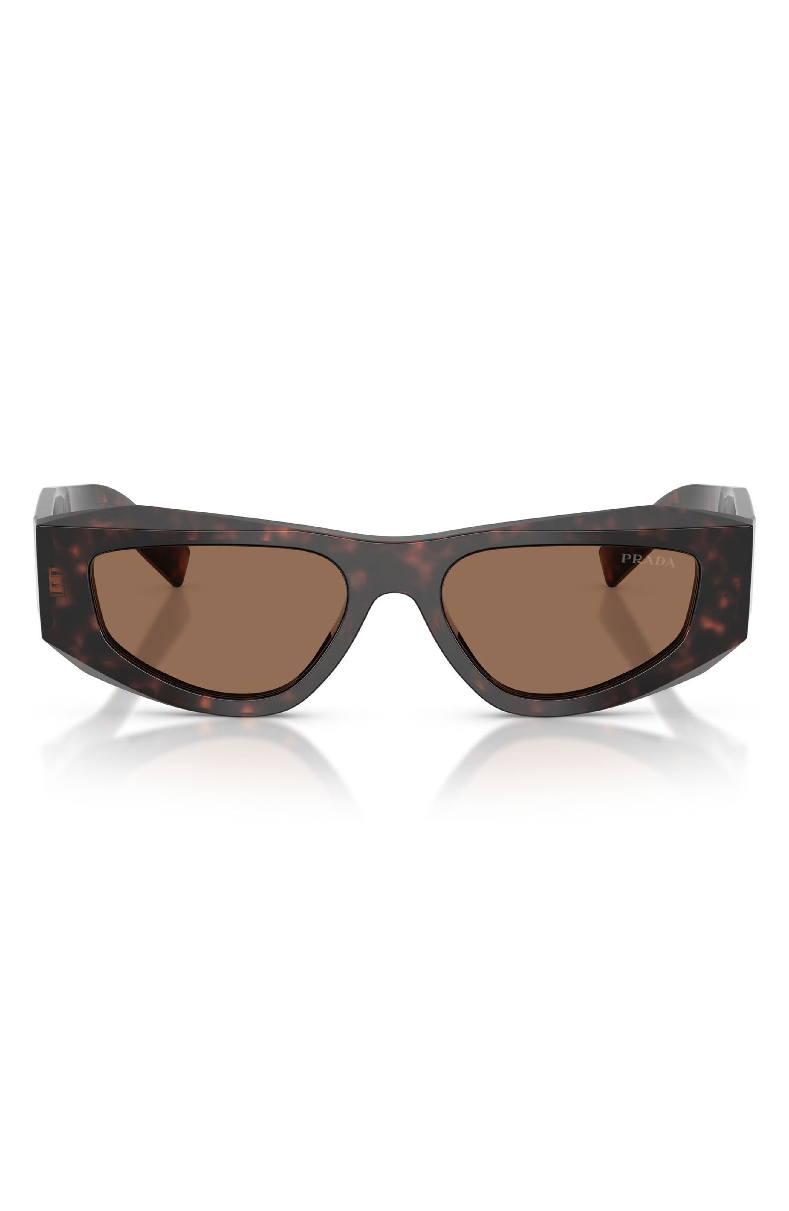 ROOT TORTOISE / DARK BROWN