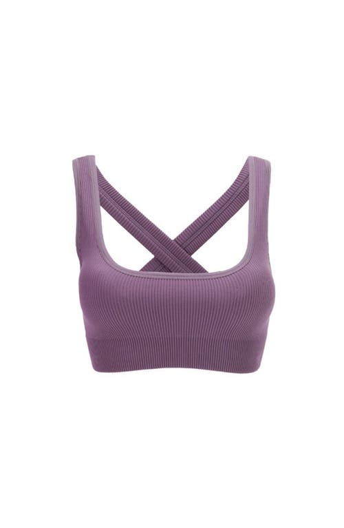 Vitality Synergy X Bra In Violet