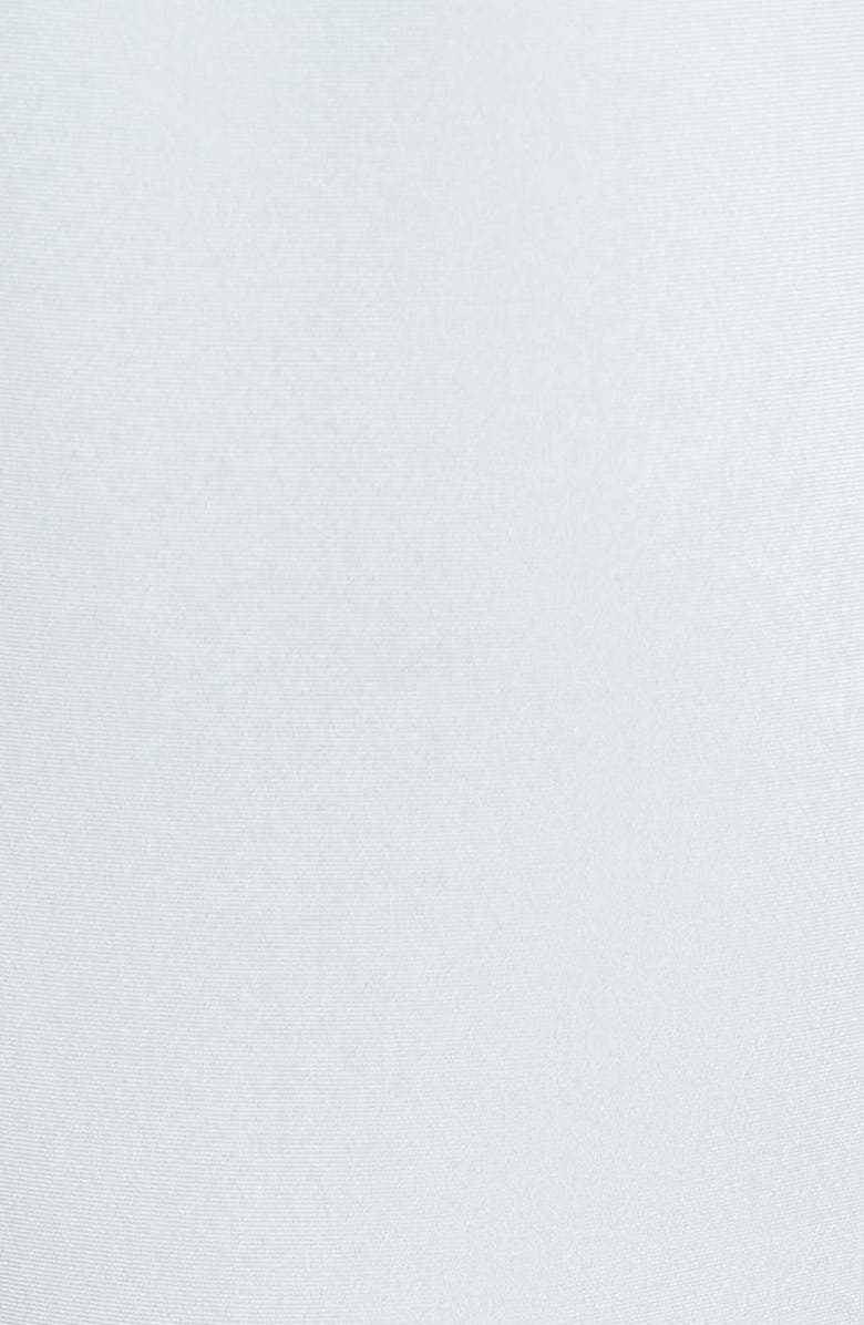 Dora Larsen Bonnie High Waist Panties, Alternate, color,