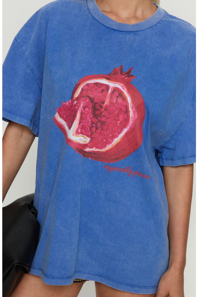 Linsay Pomegranate Oversize Cotton Graphic T-Shirt, Alternate, color, BLUE / POMEGRANATE