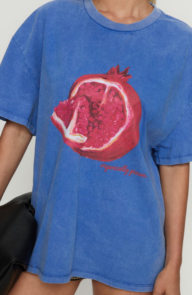 Princess Polly Linsay Pomegranate Oversize Cotton Graphic T-Shirt, Alternate, color, Blue / Pomegranate