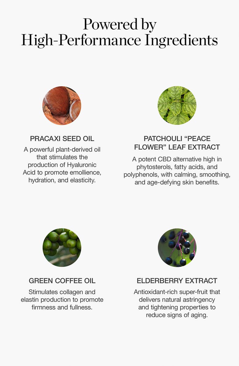 OGEE Sculpted Complexion Foundation Stick, Alternate, color, Maple