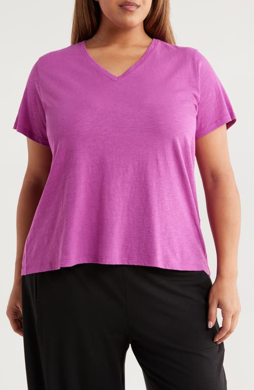 Eileen Fisher Easy V-neck Organic Cotton T-shirt In Purple