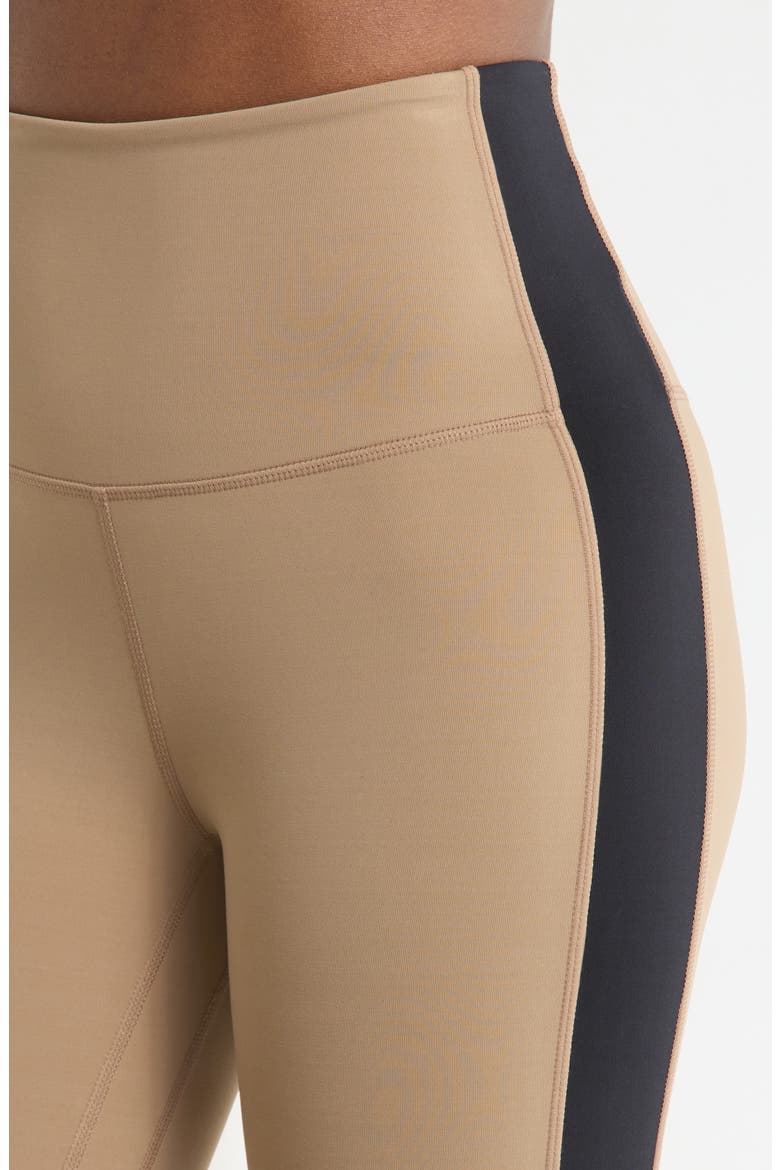 Sculpt Colorblock Leggings, Alternate, color, CARIBOU/ BLACK