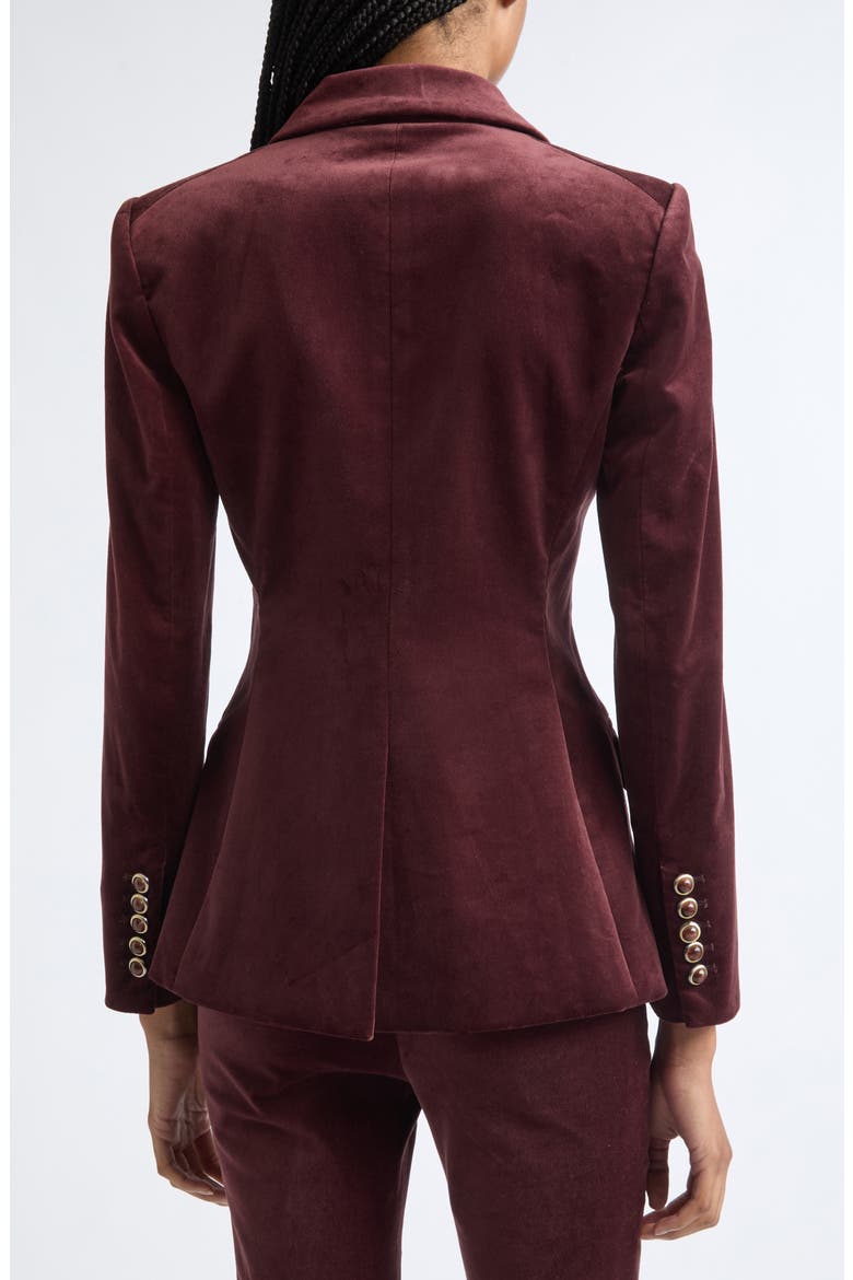 Raelynn Velvet Jacket, Alternate, color, BURGUNDY