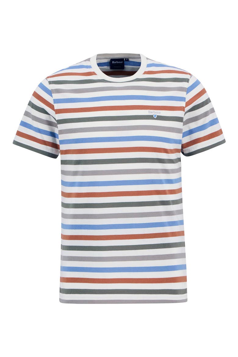 Rokeby Stripe Cotton T-Shirt, Alternate, color, WHISPER WHITE