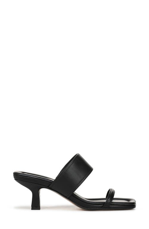 Vince Cora Kitten Heel Slide Sandal In Black