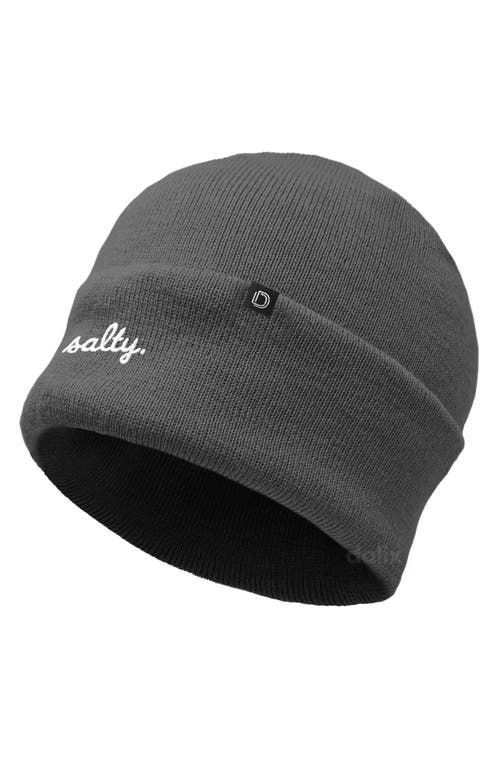 Dalix Salty Beanie Cap In Gray