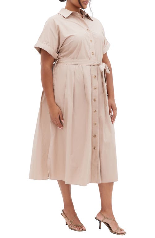 City Chic Elly Short Sleeve Belted Cotton Shirtdress In Ecru