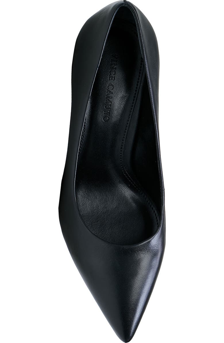 Vince Camuto Tritellia Pointed Toe Pump, Alternate, color,