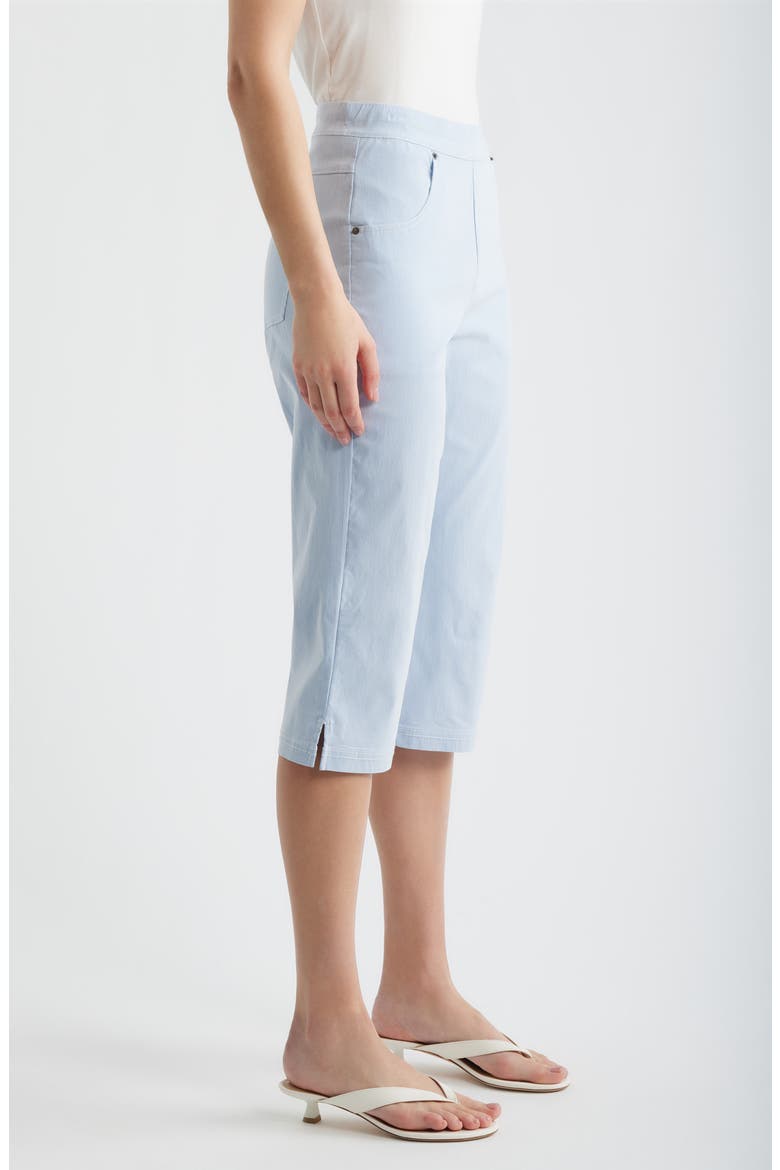 Spring Stripe Petal Pusher Capri Pants, Alternate, color, BLUE