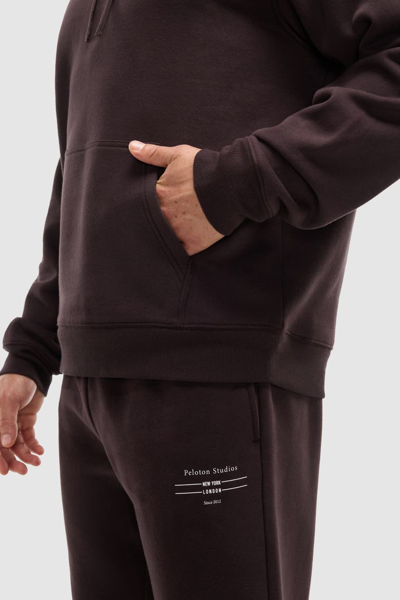 Soft Fleece Hoodie, Alternate, color, Cocoa