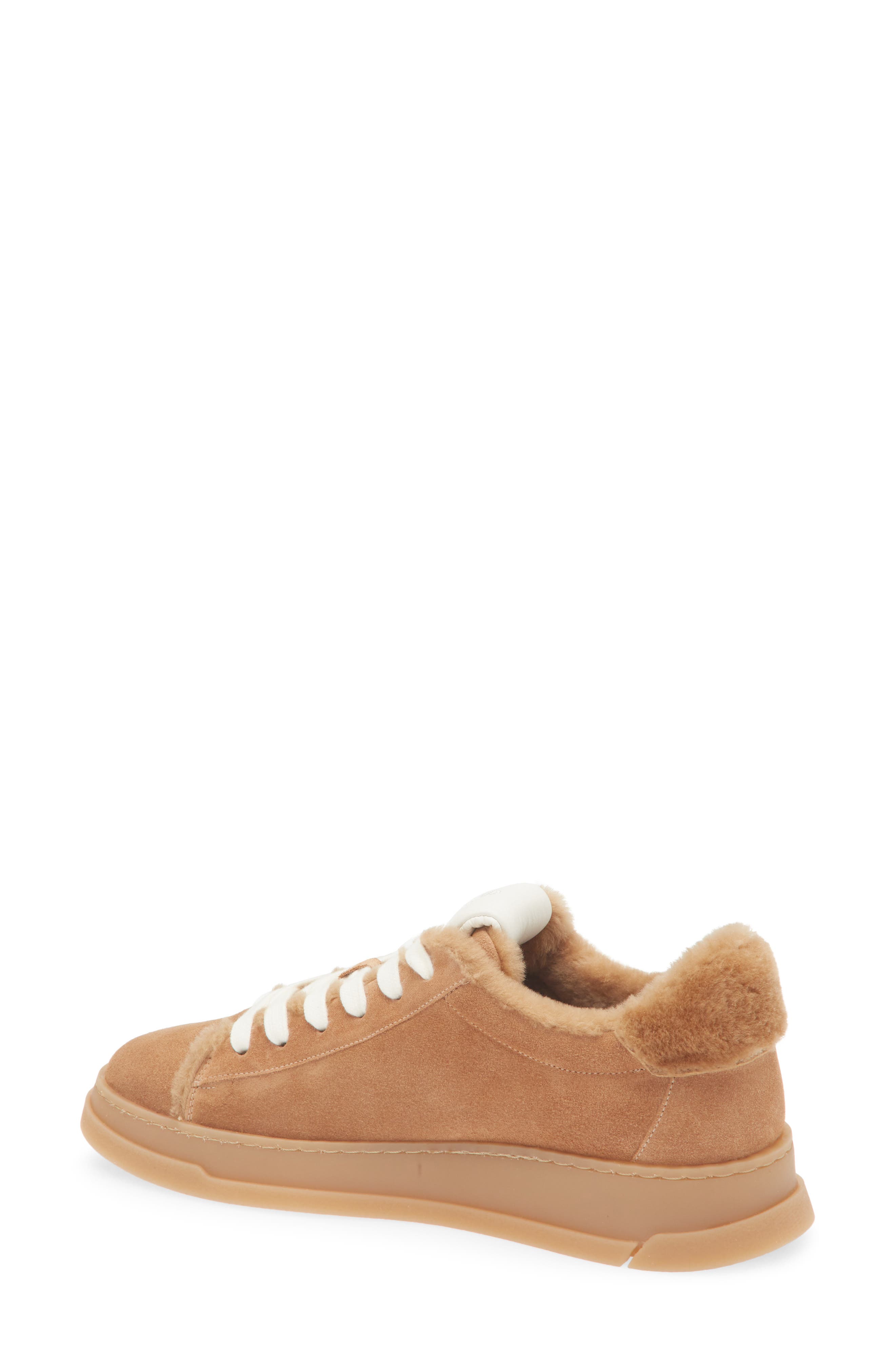Stuart Weitzman Ellis Genuine Shearling Lined Sneaker, Alternate, color, New Camel