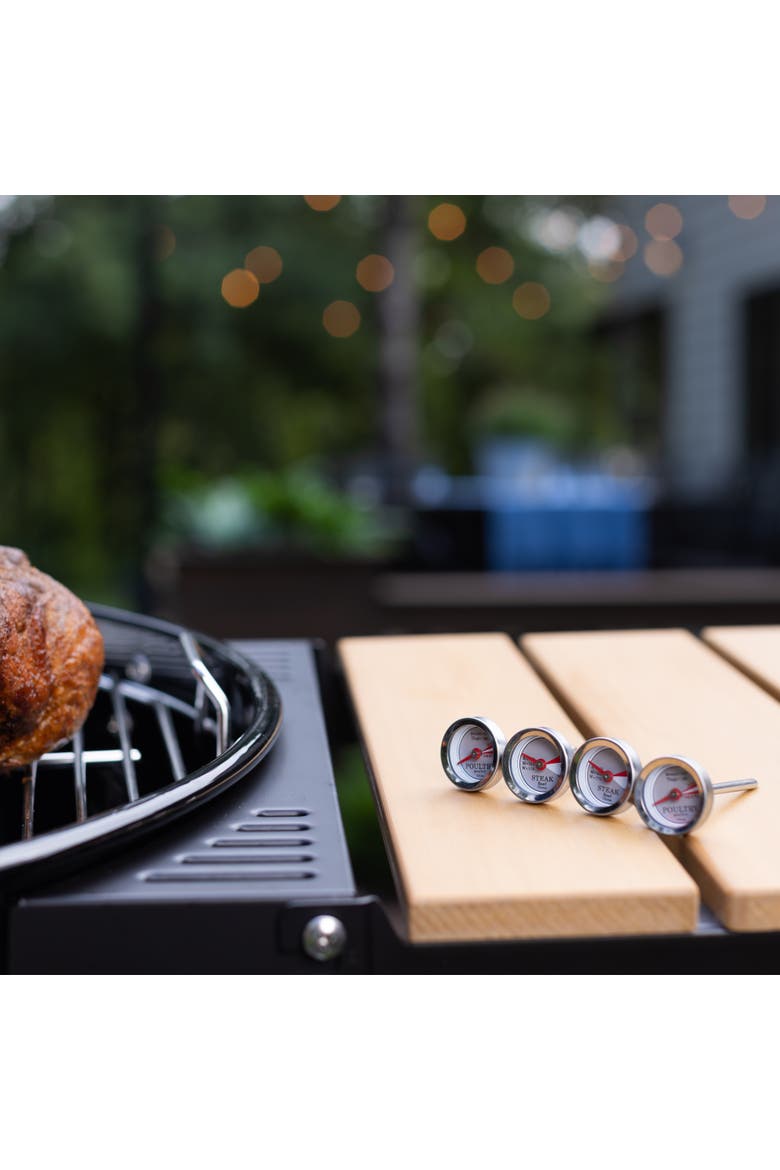 Mini Steak & Chicken Thermometer Set, 4 Piece, Alternate, color, Silver