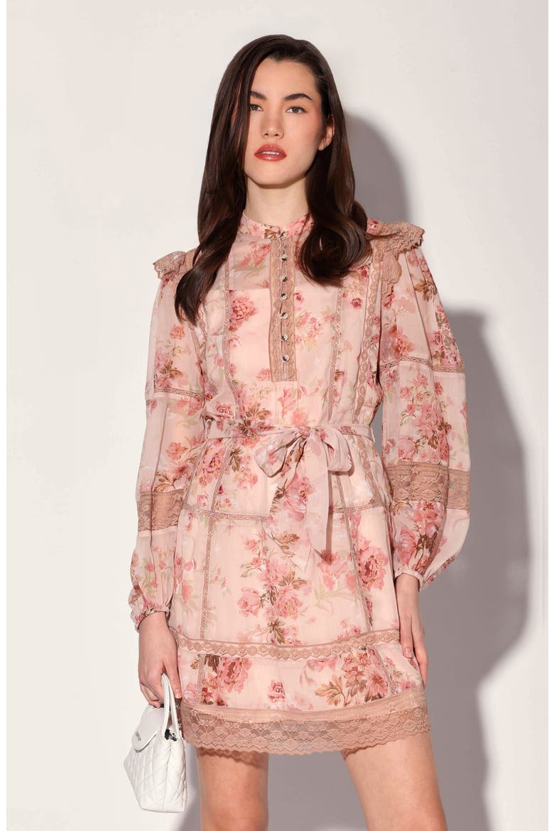 Angelica Floral Long Sleeve Dress, Alternate, color, BLUSH ROSE