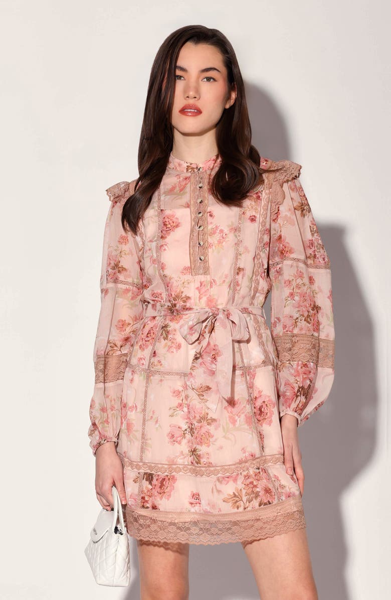 Walter Baker Angelica Floral Long Sleeve Dress, Alternate, color,