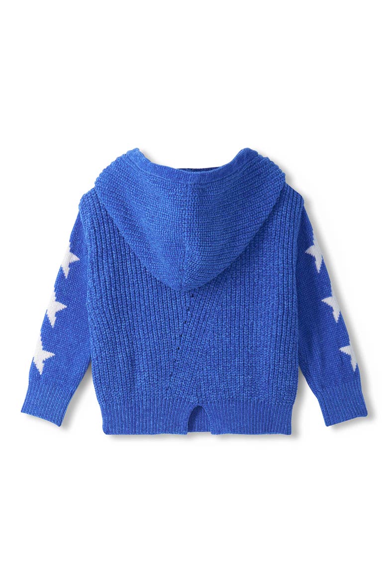 Kids' Dazzblue Chenille Hooded Sweater, Alternate, color, BLUE