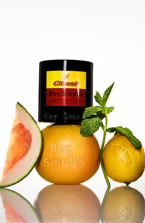 Boy Smells Citrush Standard Candle In Multi