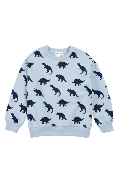 Kids' Dino Print French Terry Sweatshirt (Toddler & Little Kid)