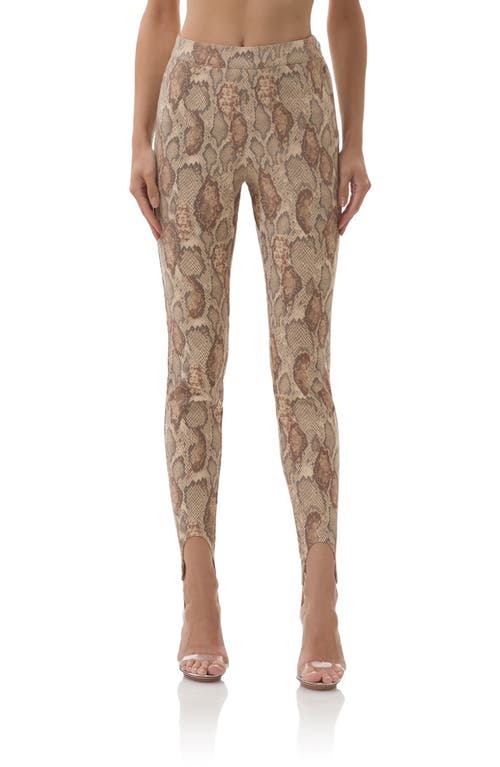 Afrm Tallie Snakeskin Print Stirrup Pants In Brown