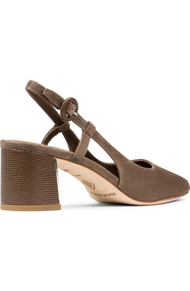 Donald Pliner Song Slingback Pointed Toe Pump, Alternate, color, Bark