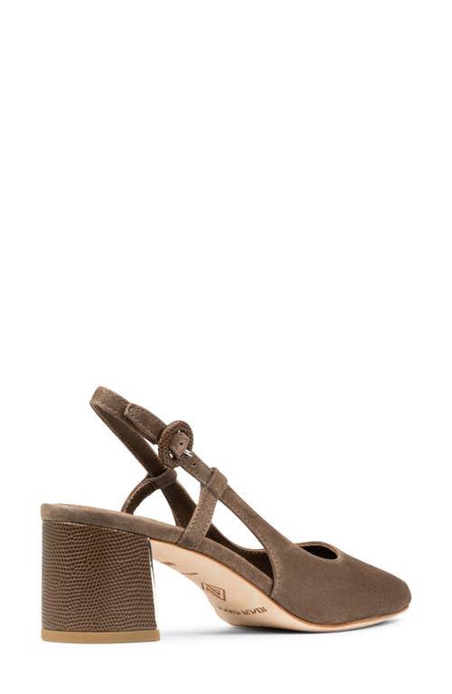 Donald Pliner Song Slingback Pointed Toe Pump In Brown