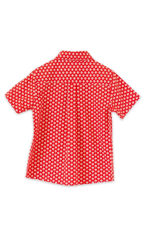 Shop Beet World Boys Collar Shirt In Red