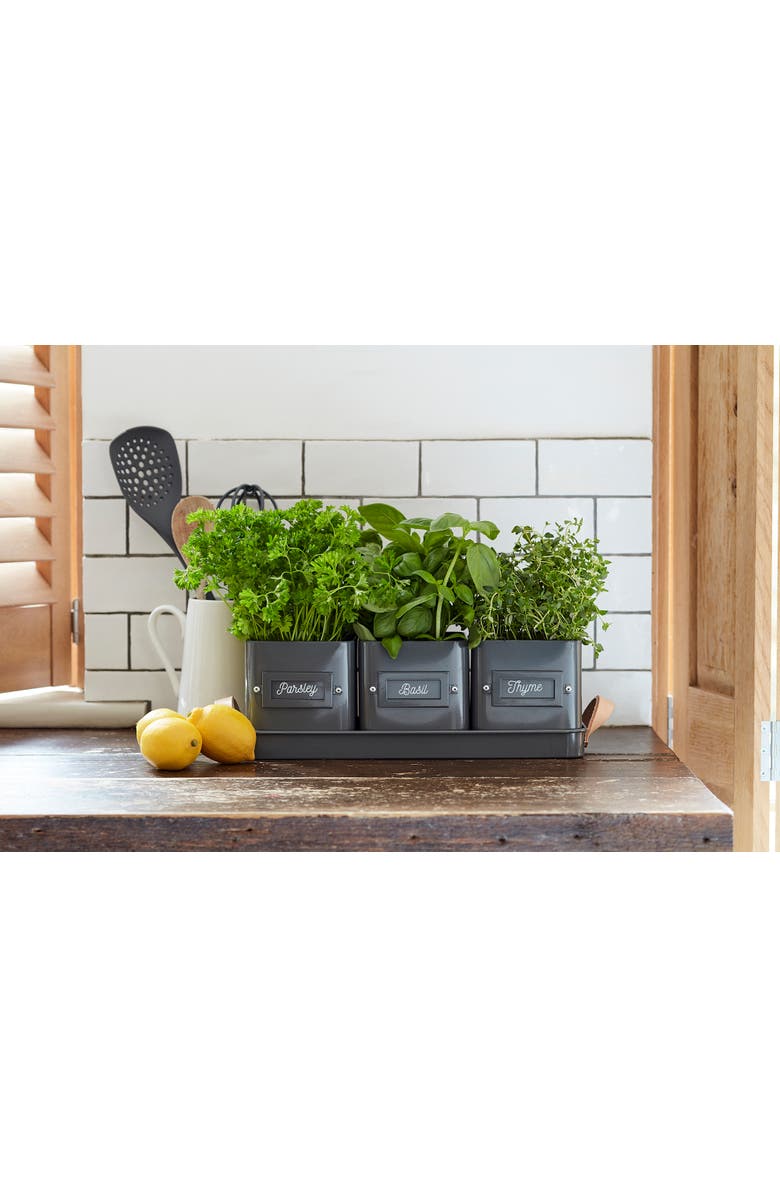 Burgon & Ball Herb Pots with Leather Handled Tray - Set of 3, Alternate, color, Charcoal