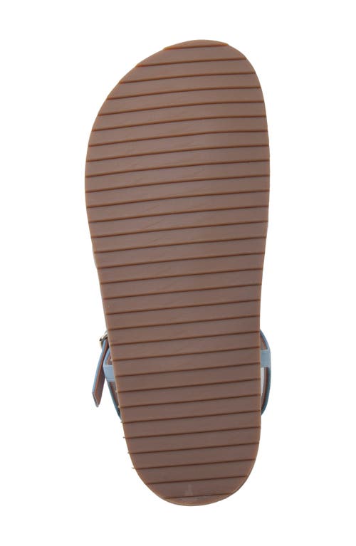Shop Linea Paolo Lilith Ankle Strap Sandal