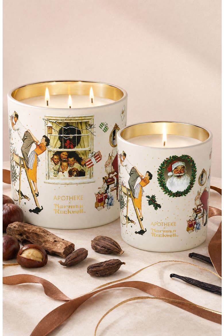 Cardamom Chestnut Norman Rockwell Candle, Alternate, color, NO COLOR