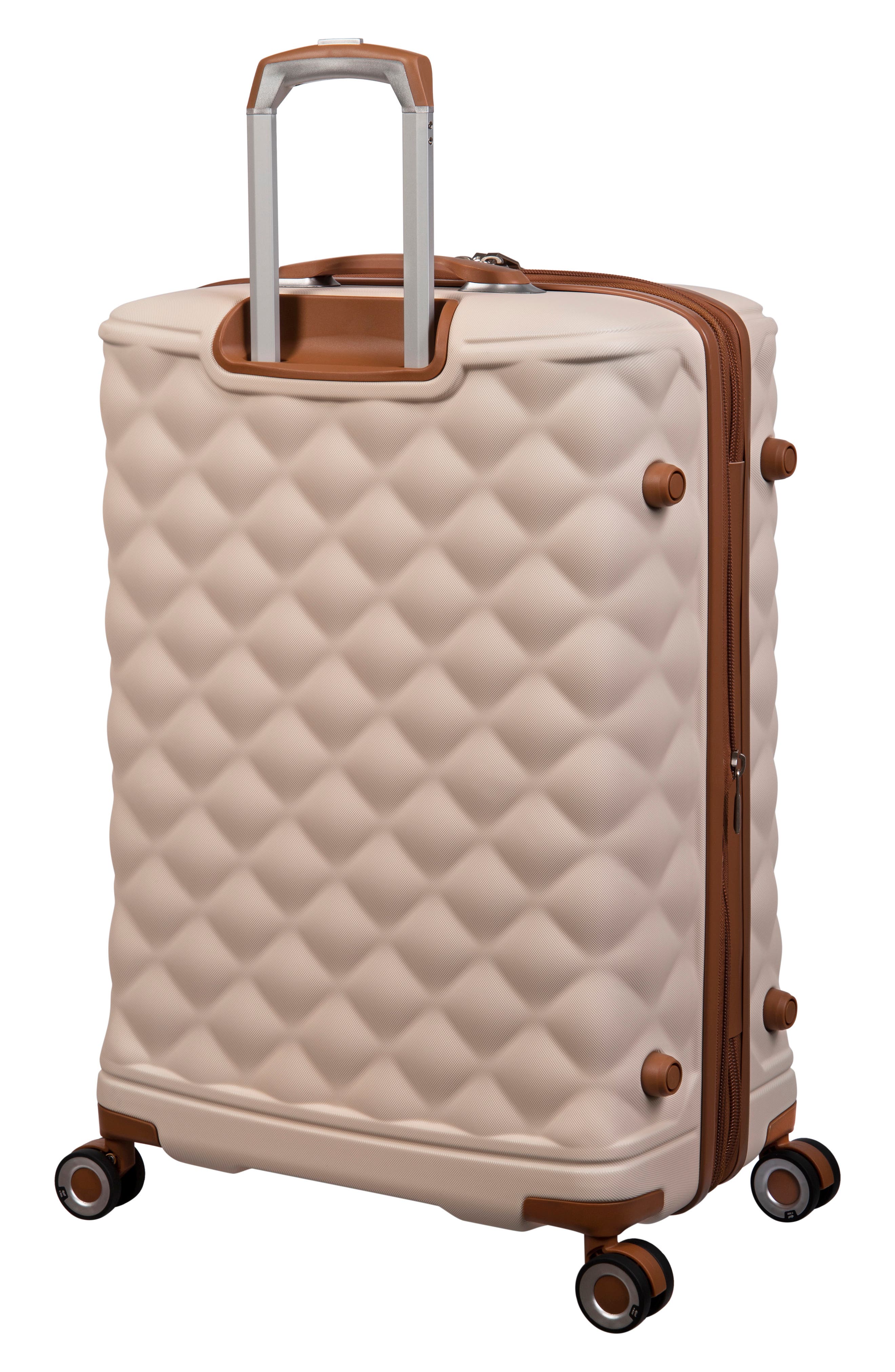 IT LUGGAGE Indulging 25-Inch Hardside Spinner Luggage, Alternate, color, 