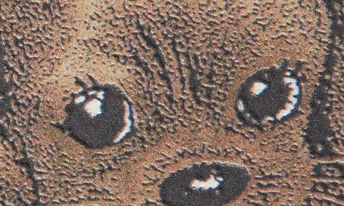 Ganni Women Keychain With Puppy In Brown