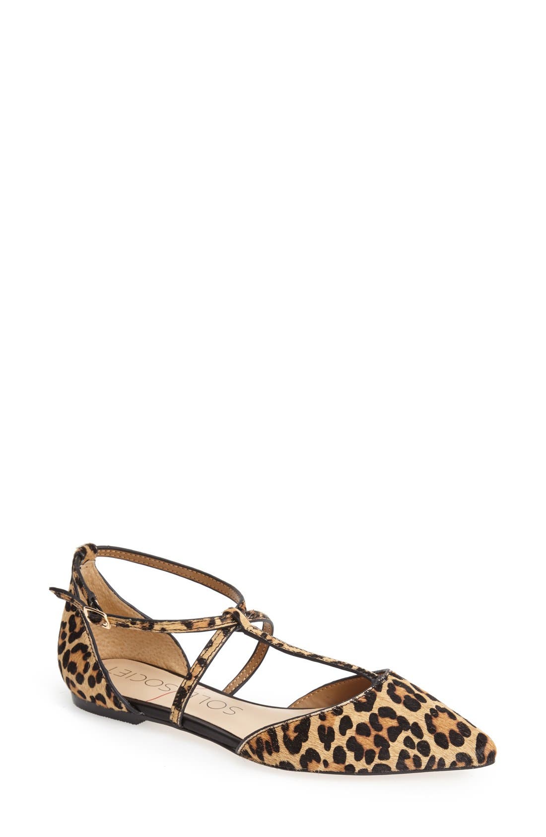 'Chandler' Pointy Toe Flat, Main, color, LEOPARD