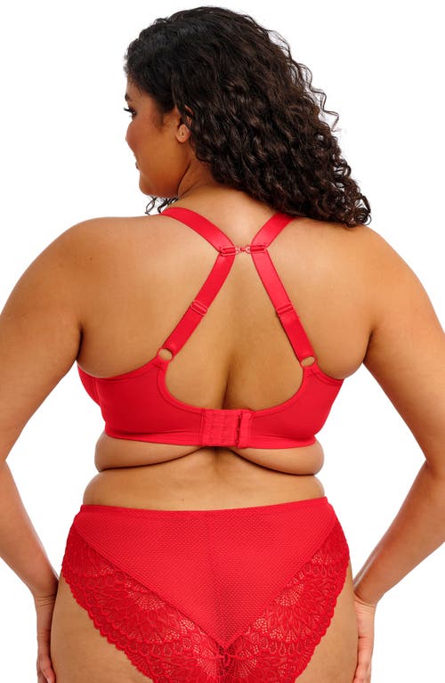 Elomi Tiernie Underwire Plunge Bra In Red