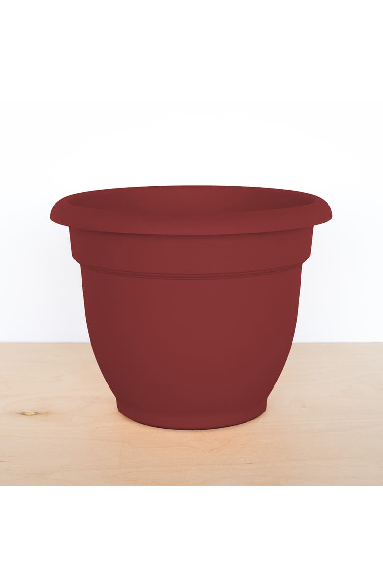 Bloem Ariana Pot Planter 12 Inch Burnt Red Resin Pot, Selfwatering, 3 Gallon, Alternate, color, Red