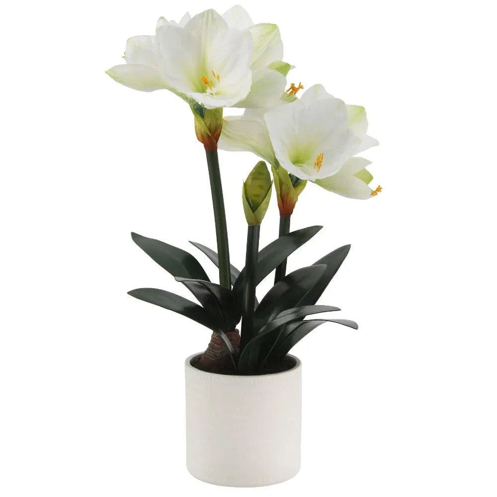 selected White