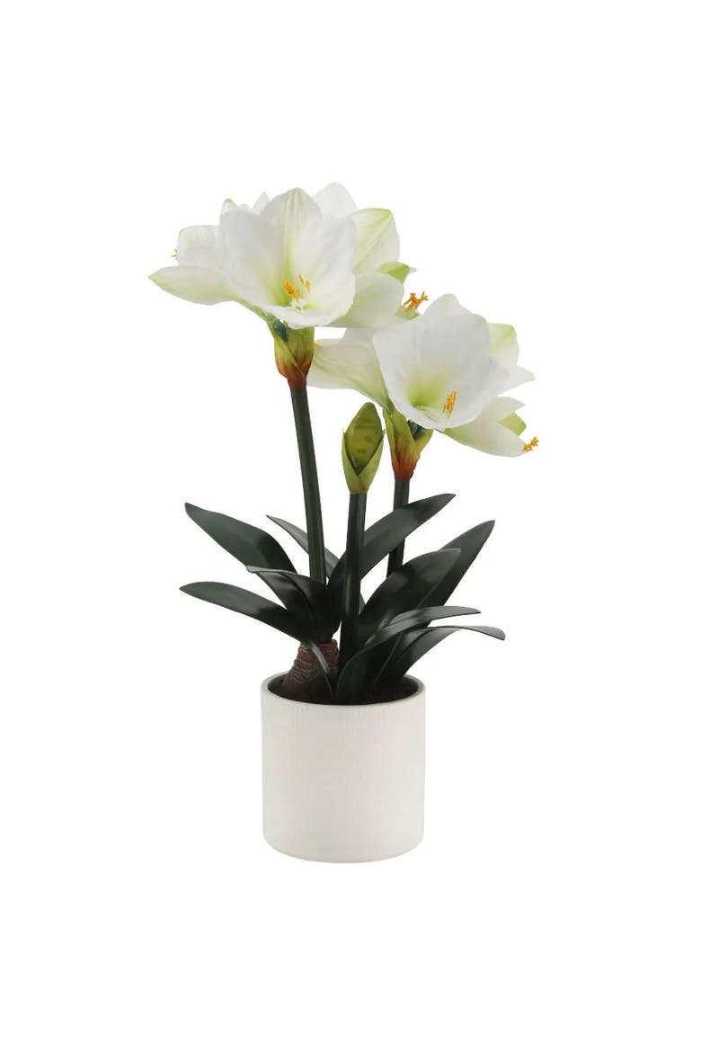 24" White Amaryllis Arrangement in Pot, Main, color, White