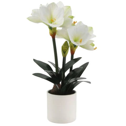 24" White Amaryllis Arrangement in Pot