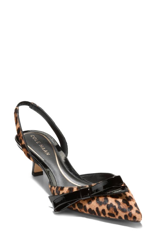 Cole Haan Noella Bow Slingback Pointed Toe Kitten Heel Pump In Leopard Print Haircalf