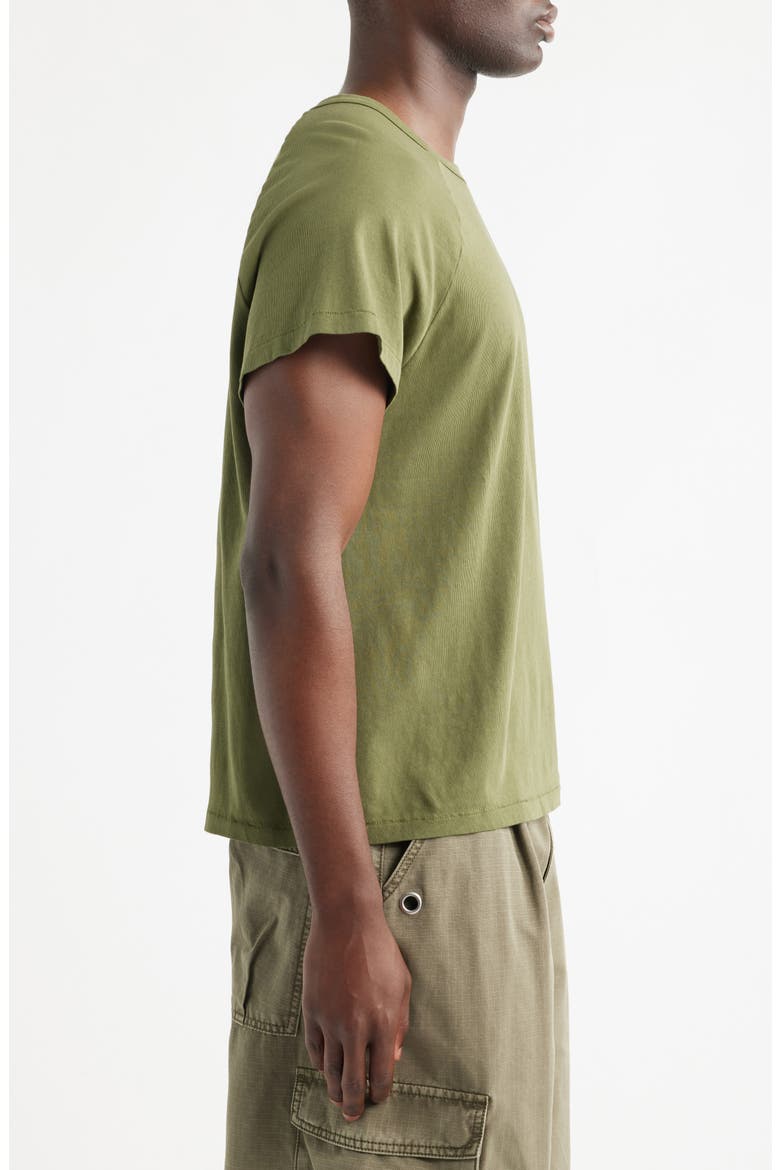 Raglan Sleeve T-Shirt, Alternate, color, OLIVE